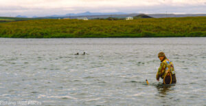 erik-wading-ducks