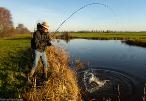 Pike fishing carousel