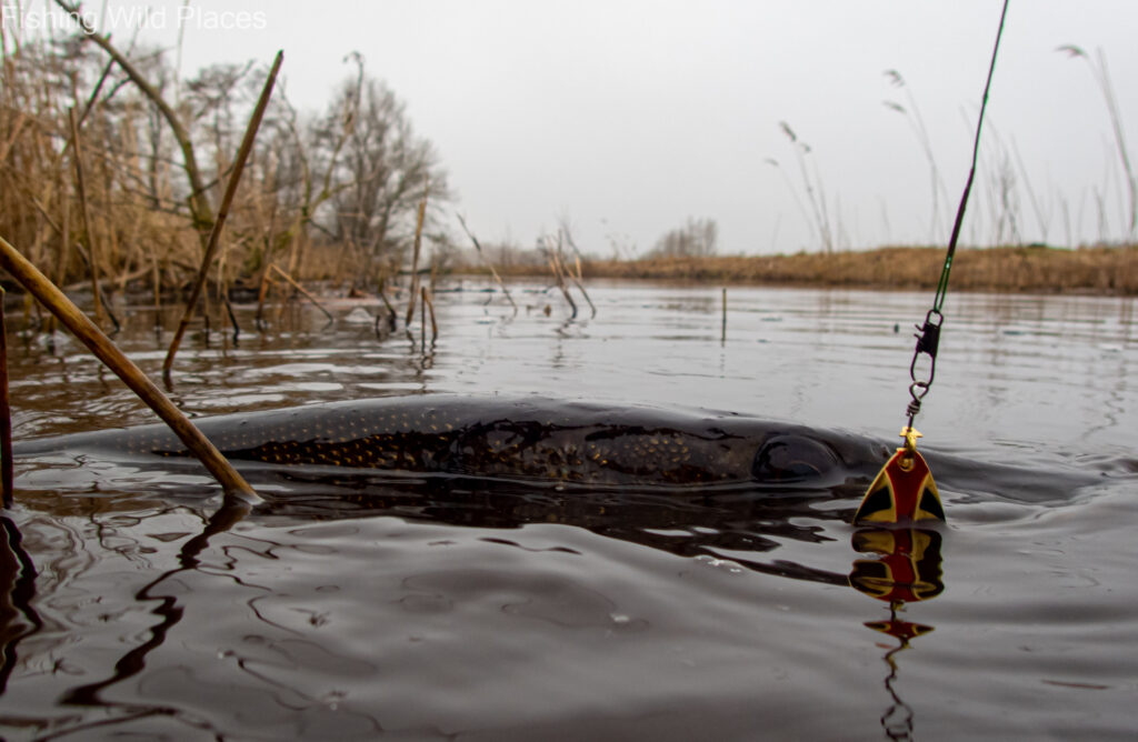Who are you looking at?